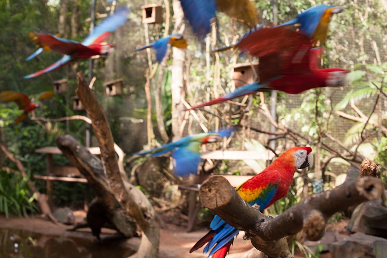 Parque das Aves